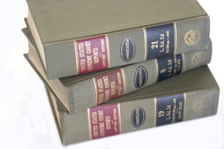 Family Law Attorney in Clearwater, Florida